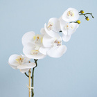 Arranjo De Orquídea De Silicone Branca No Vaso Azul | Formosi